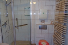 Badezimmer mit Dusche | Ferienhaus am Waldesrand